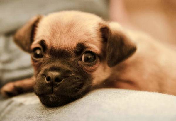 20221121190932_56401