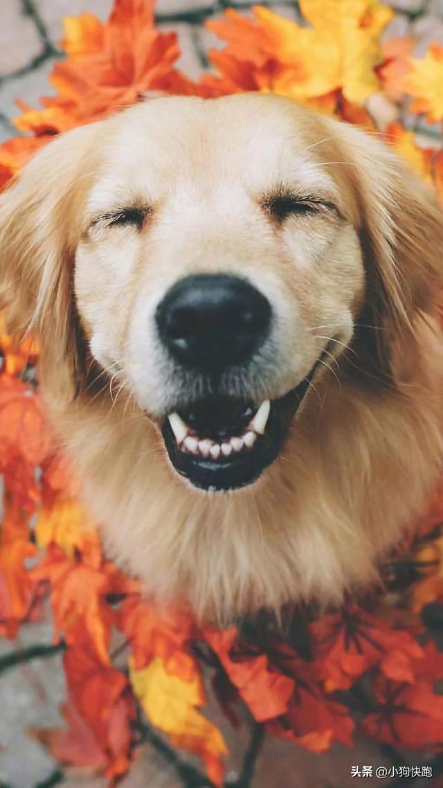 20221121212235_92634 20221121212235_92634