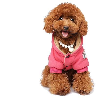 20221121212808_67509