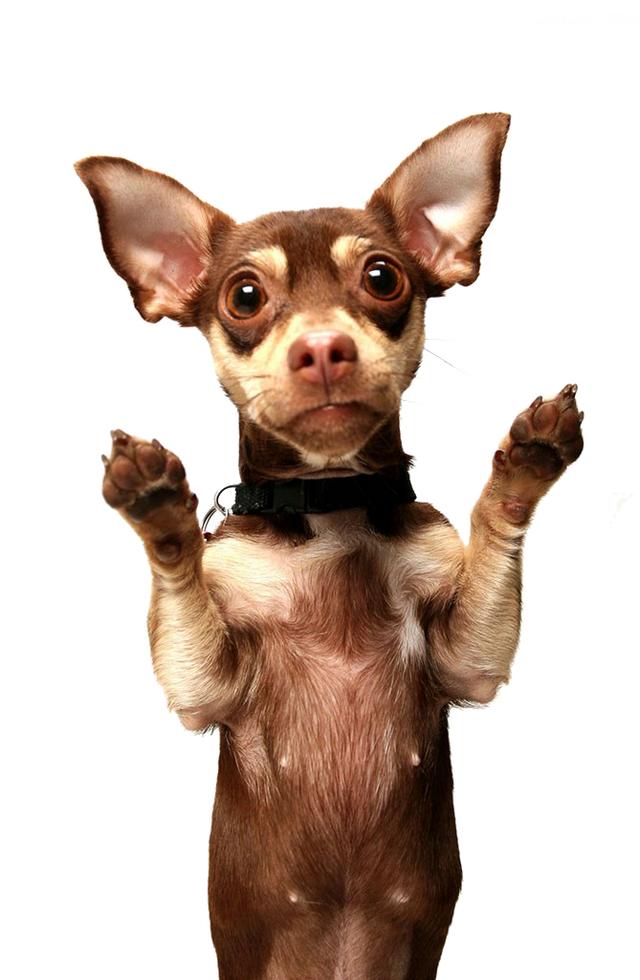 20221121212808_89801