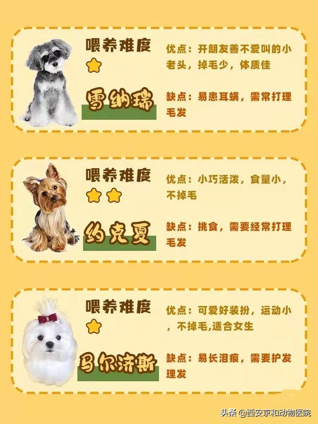 20221121214324_90360 20221121214324_90360