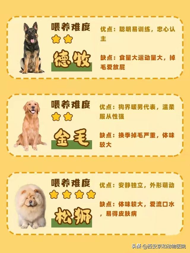 20221121214324_95544 20221121214324_95544