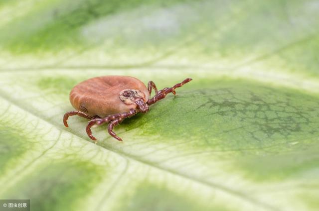 20221121222807_46754 20221121222807_46754