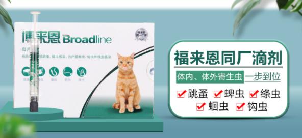 20221121222807_63085 20221121222807_63085