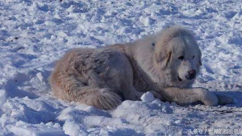 20221121232559_62114 20221121232559_62114