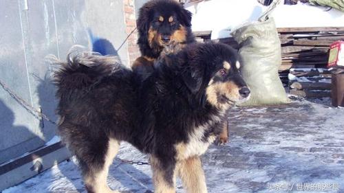 20221121232559_84581 20221121232559_84581