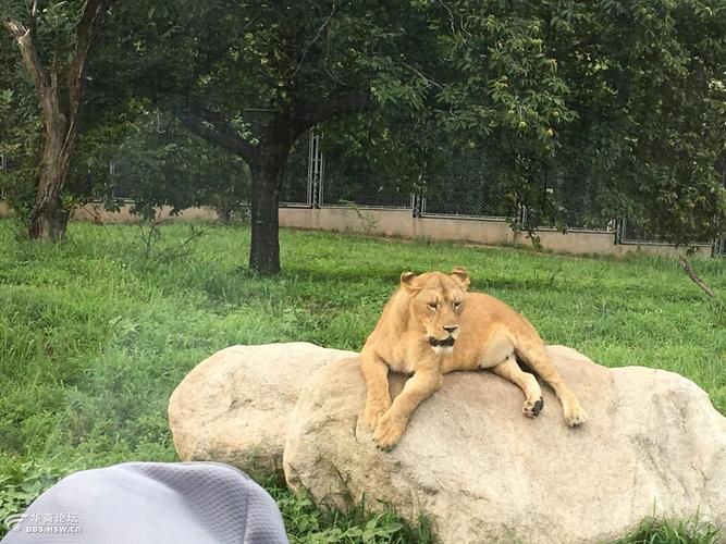 20221122011121_77034 20221122011121_77034