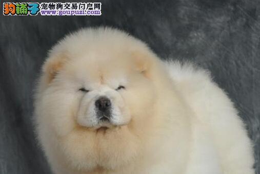 20221122013350_93902