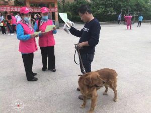 哈尔滨犬业(哈尔滨天卓犬业)-警犬训练器材厂家 _警犬训练用品_工作犬训练用品-南京开久警犬装备