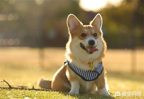 20221122013840_71689