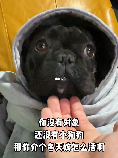 为什么管男朋友叫狗子(为什么把男朋友成为狗子) - 警犬训练器材厂家 _警犬训练用品_工作犬训练用品-南京开久警犬装备-警犬训练器材厂家 _警犬训练用品_工作犬训练用品-南京开久警犬装备