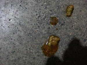 狗狗拉肚子拉稀水(狗狗拉肚子拉稀怎么办)-警犬训练器材厂家 _警犬训练用品_工作犬训练用品-南京开久警犬装备