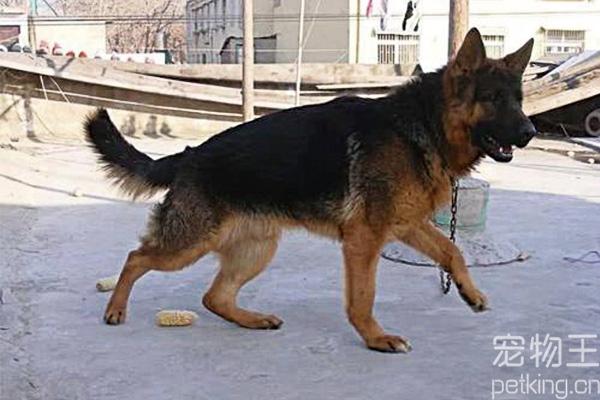 20221122101413_28134