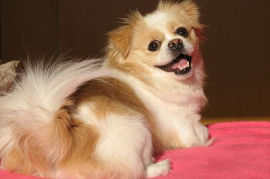 20221122112011_82609 20221122112011_82609