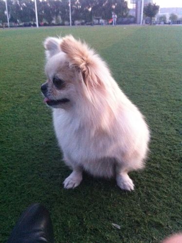 20221122112012_67139 20221122112012_67139