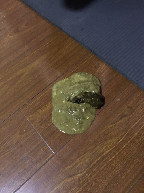 20221122114036_64598