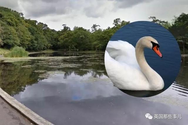 20221122115512_58309