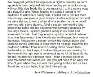 徒手杀狗最快的 *** (杀狗最快最有效的 *** )-警犬训练器材厂家 _警犬训练用品_工作犬训练用品-南京开久警犬装备