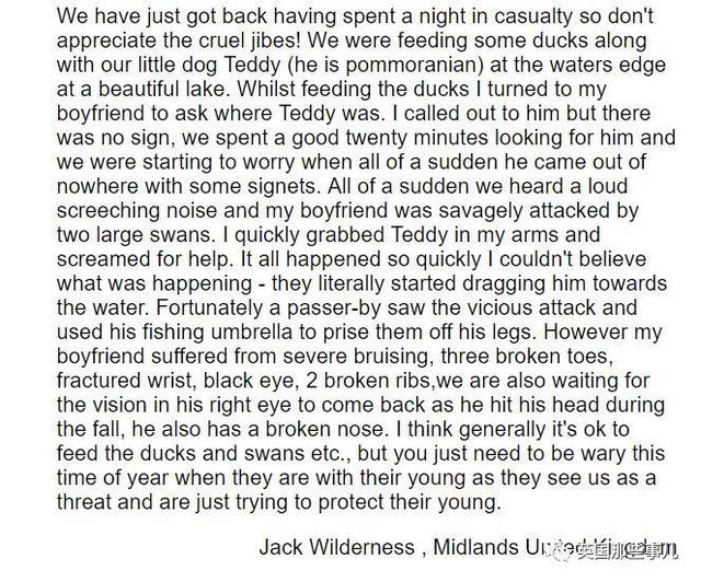 徒手杀狗最快的 *** (杀狗最快最有效的 *** ) - 警犬训练器材厂家 _警犬训练用品_工作犬训练用品-南京开久警犬装备-警犬训练器材厂家 _警犬训练用品_工作犬训练用品-南京开久警犬装备