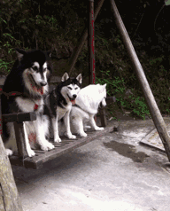 20221122120201_20714