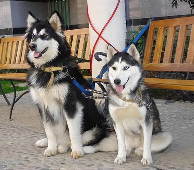 20221122120201_81650 20221122120201_81650