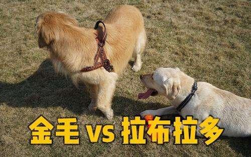 20221122121602_48476 20221122121602_48476