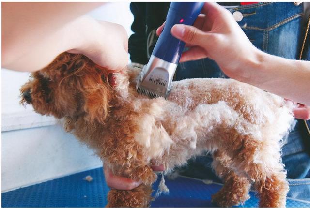 20221122142716_81212