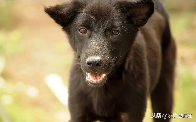 20221122171032_29613