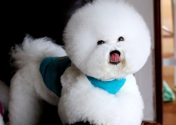 20221122184443_14258