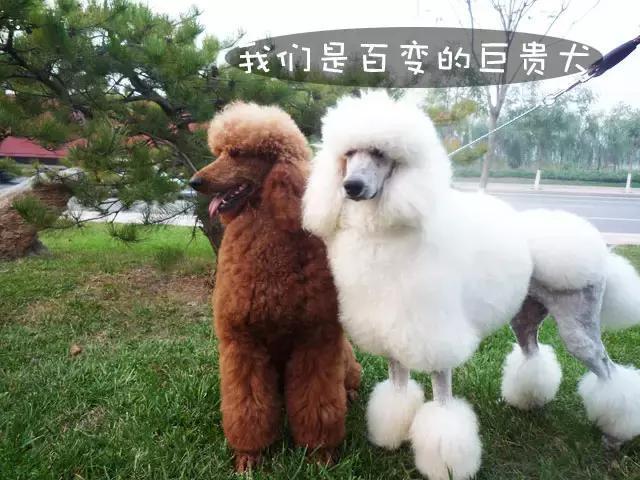 20221122194636_22892 20221122194636_22892