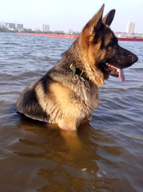 20221122195837_63052