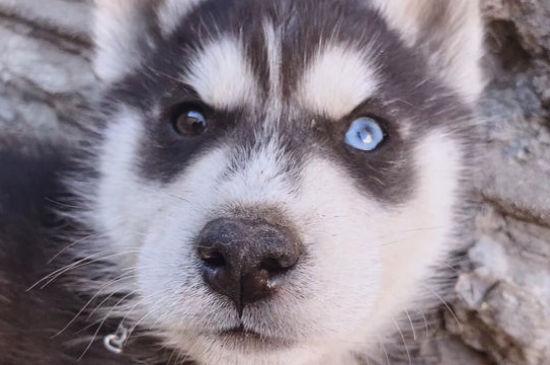 20221122201440_40106