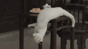 雪狗兄弟国语(雪狗兄弟观后感)-警犬训练器材厂家 _警犬训练用品_工作犬训练用品-南京开久警犬装备