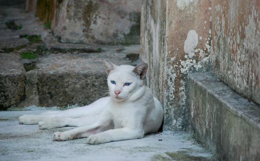 20221123102308_18480