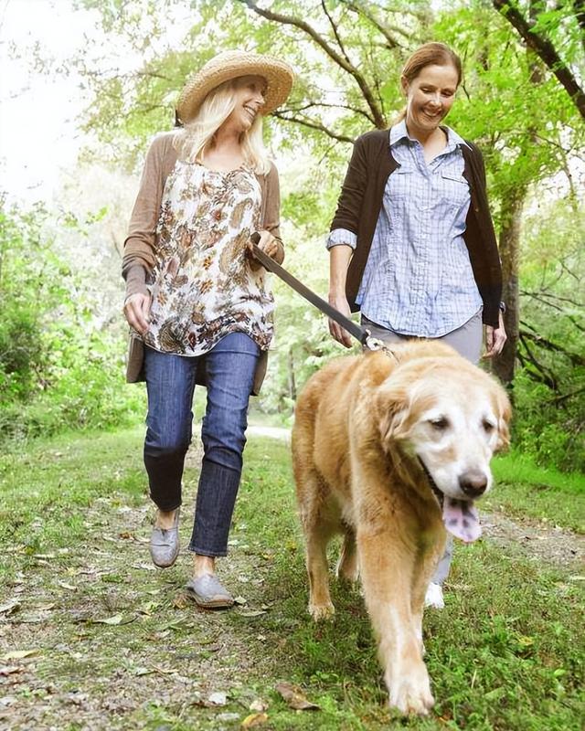 20221123115345_45425