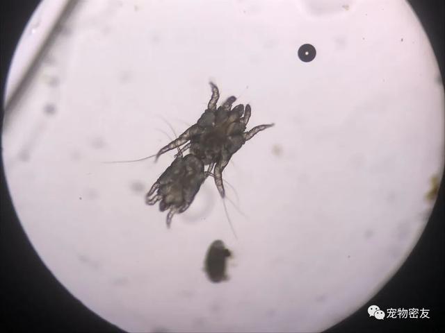 20221123140810_26504 20221123140810_26504