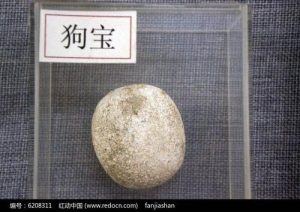 狗宝是什么(狗宝是什么东西啊 *** )-警犬训练器材厂家 _警犬训练用品_工作犬训练用品-南京开久警犬装备