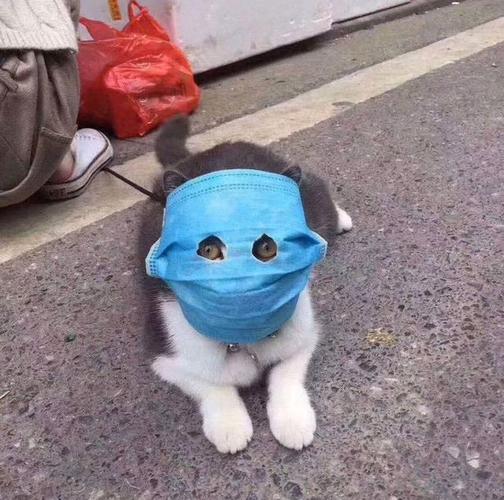 20221123190555_59847 20221123190555_59847