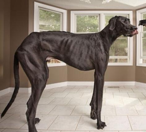 20221124083210_48098 20221124083210_48098