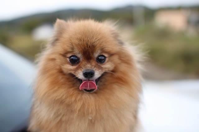 20221124095659_25959