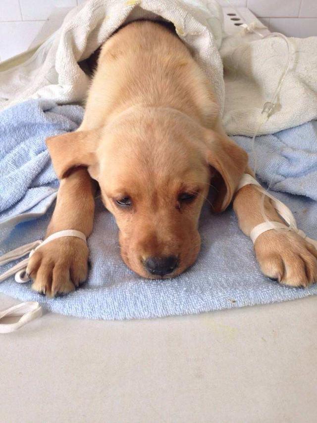 20221124120439_22048