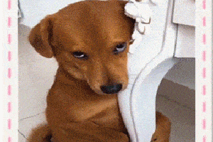 20221124120439_71576