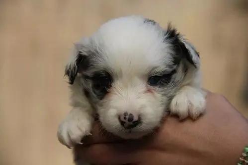 20221124122532_20091