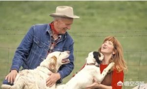 狗舔人原因(狗舔身上是什么原因)-警犬训练器材厂家 _警犬训练用品_工作犬训练用品-南京开久警犬装备