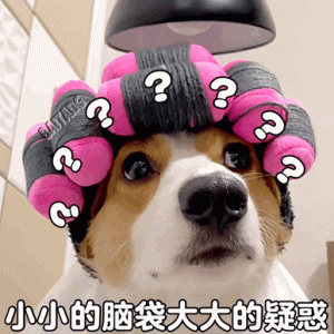 超级大狗，超级大狗熊-警犬训练器材厂家 _警犬训练用品_工作犬训练用品-南京开久警犬装备