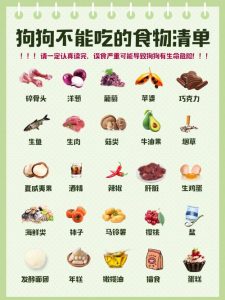 狗狗不能吃的食物(狗吃的食物有哪些)-警犬训练器材厂家 _警犬训练用品_工作犬训练用品-南京开久警犬装备