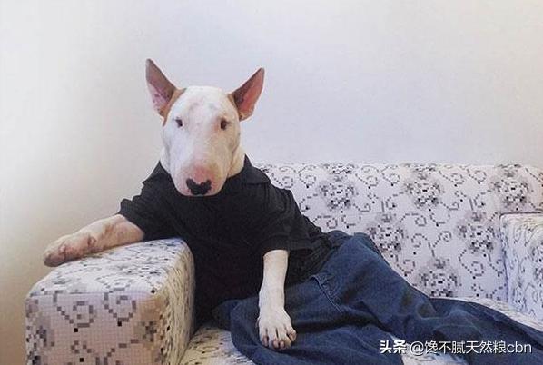 20221124152107_36495