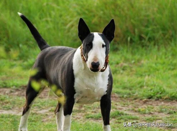 20221124152108_74412