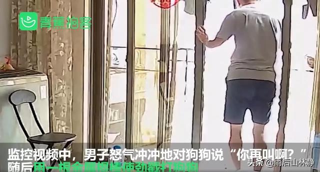 20221124163527_26657 20221124163527_26657