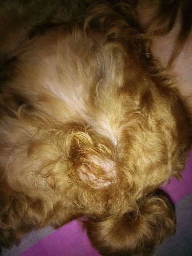 20221124164050_37945 20221124164050_37945